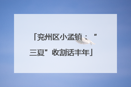 兖州区小孟镇：“三夏”收割话丰年